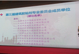 凱華公司參加第八屆建筑膠粘劑會(huì)議